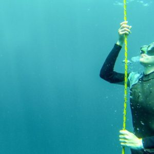 freediving open water session