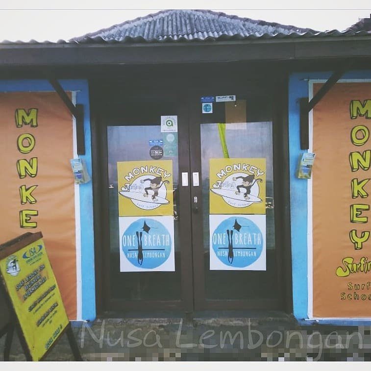 MonkeySurfingLembongan